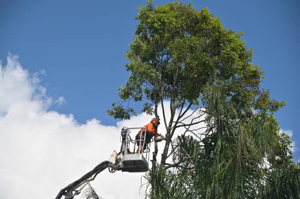 Soil Testing and Treatment in Phoenixville, PA